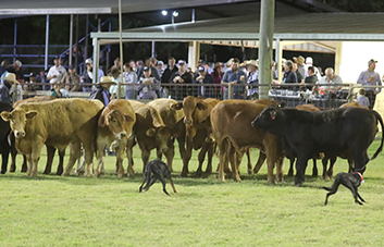 Round 18 of CS Energy&rsquo;s Community Sponsorships Program open for applications