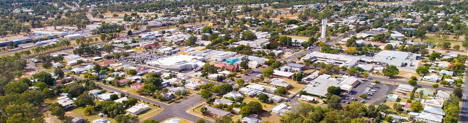 Chinchilla from above