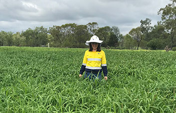 Back yards end up at Kogan mine levee