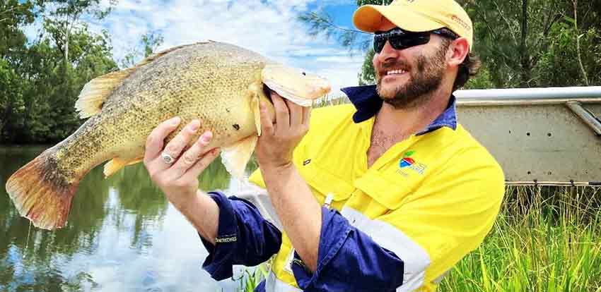Body image Dare Lawrence with fish