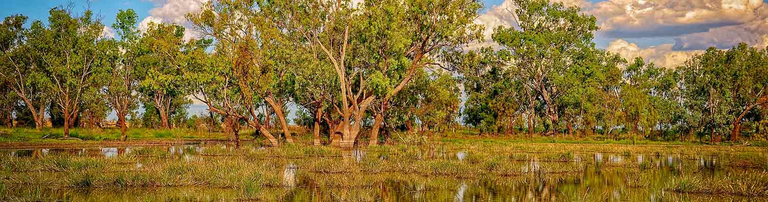 stock photo waterhole in chinchilla